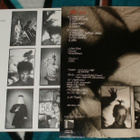 PÄÄT ~ Bali ~ LP - pikkukuva 2