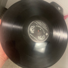 Tuomari Nurmio – Hullu Puutarhuri (Vinyyli) - pikkukuva 4