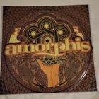 Amorphis - Brother and Sister 12" muotoonleikattu single - pikkukuva 1