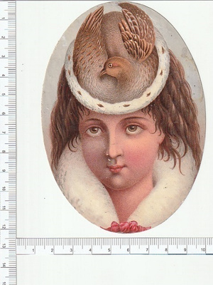 * lintuhattuinen leidi, 12,5 x 8,5 cm *