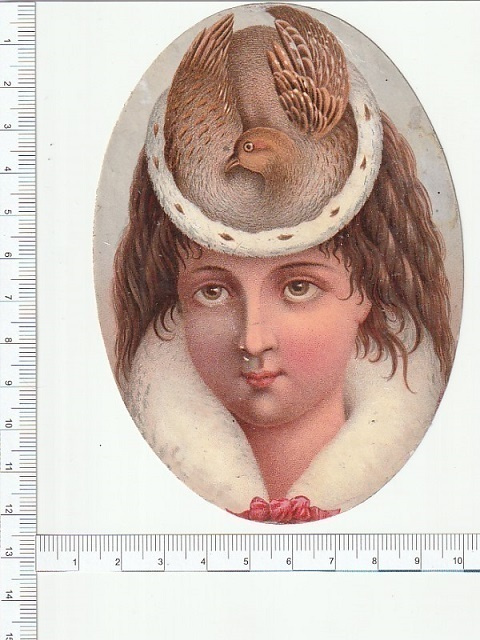 * lintuhattuinen leidi, 12,5 x 8,5 cm *
