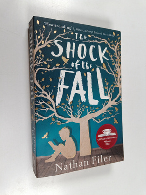 Nathan Filer : The shock of the fall