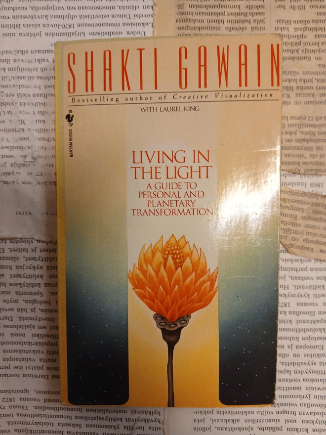 Shakti Gawain - Living in the Light (paperback)
