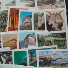 Dinosaurus 76 kpl keräilykorttia (DinoCardz 1992) - pikkukuva 4