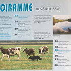 KOIRAMME 6/2001 + LIITE: METSÄSTYSKOIRAMME - pikkukuva 2