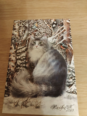 Kissa kortti,kulkematon.