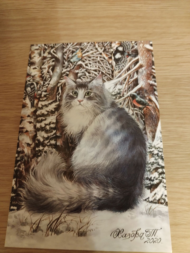 Kissa kortti,kulkematon.