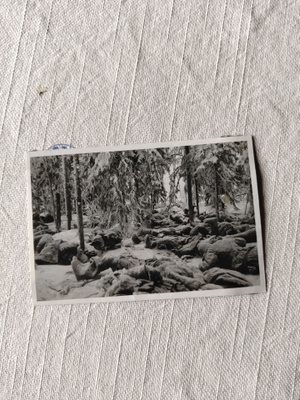 sotavalokuva röykkiö ruumiita krivillä 1942