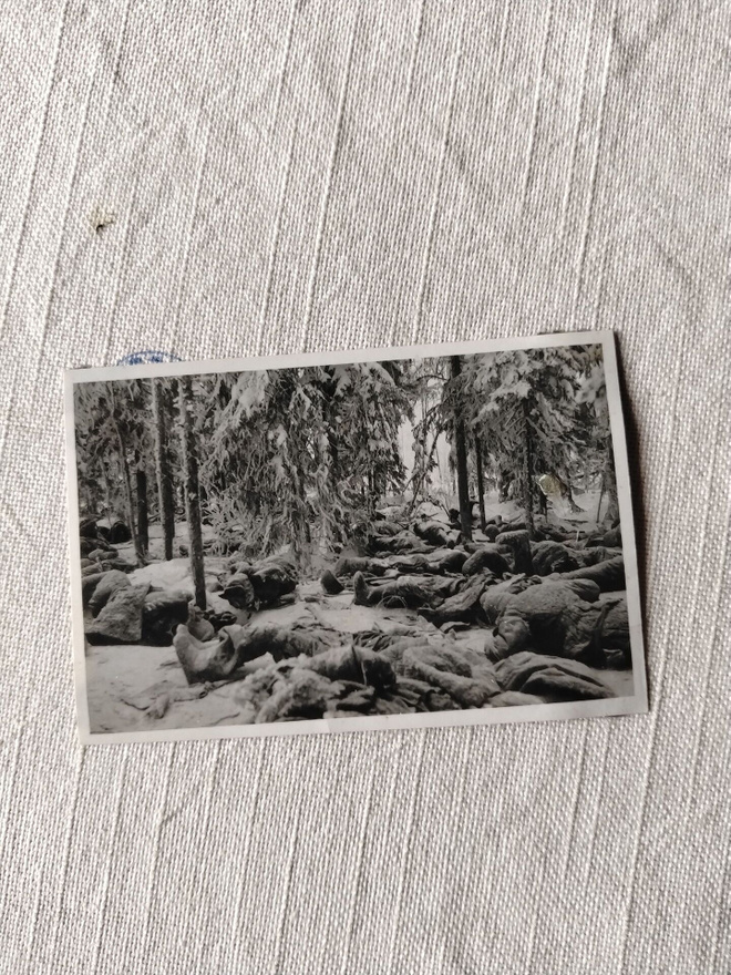 sotavalokuva röykkiö ruumiita krivillä 1942