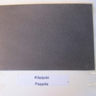 VANHA Postikortti Lieto Kilpijoki 1920-l - pikkukuva 3