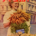 Seura n:o 40 1953 Kuuselan vävyjen ensikohtaus. Avaruusromaa - pikkukuva 1