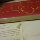 Charles Baudelaire - Välähdyksiä: Alaston sydämeni (sid.) - pikkukuva 3