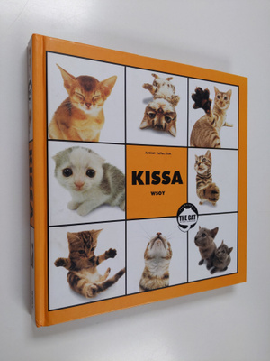 Kissa