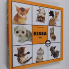 Kissa - pikkukuva 1