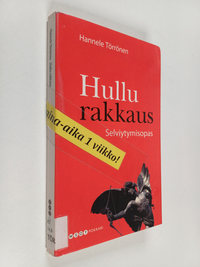 Hannele Törrönen : Hullu rakkaus : selviytymisopas