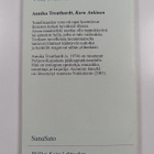 Annika Treuthardt : Karu Ankinen : novelleja - pikkukuva 2