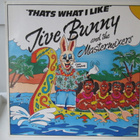 JIVE BUNNY AND THE MASTERMIXERS - THAT'S WHAT I LIKE VINYL - pikkukuva 1