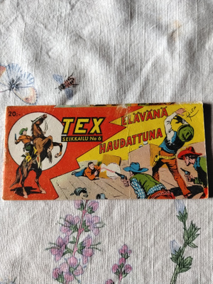 tex 1vsk 6