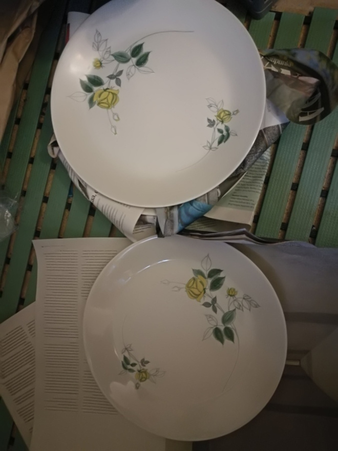 Arabia Julia-lautanend=26,5cm 6 kpl Hilkka-Liusa Ahola,