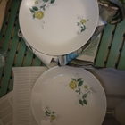 Arabia Julia-lautanend=26,5cm 6 kpl Hilkka-Liusa Ahola, - pikkukuva 1