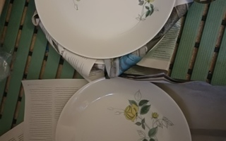 Arabia Julia-lautanend=26,5cm 6 kpl Hilkka-Liusa Ahola,