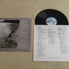 JACKSON BROWNE - The Pretender LP - pikkukuva 2