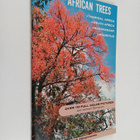Bob Hargreaves : African Trees - pikkukuva 1