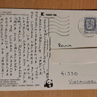 kukka, oravanmarja, Luonnonsuojeluk. kulkenut 1980 - pikkukuva 2