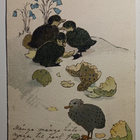 TTH: Erilaisia tipuja kuoriutuu, vanha kevätlintupk, p. 1907 - pikkukuva 1