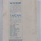 Edgar Rice Burroughs : Tarzan ja kultaleijona - pikkukuva 2