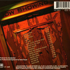 ** SOUNDGARDEN : Down on the Upside ** CD - pikkukuva 2