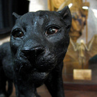 Yksityiskohtainen ”black panther” -patsas - pikkukuva 4