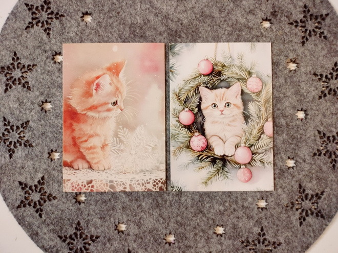 ~Kissa kortti~ 2kpl