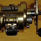 Shimano Calcutta 100 TE GT - pikkukuva 4
