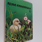 H. C. Andersen : Ruma ankanpoika - pikkukuva 1