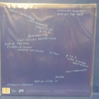 COURTNEY BARNETT - END OF THE DAY M-/M- LP - pikkukuva 2