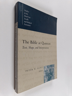 The Bible at Qumran : text, shape and interpretation