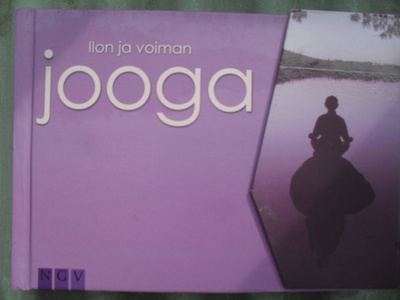 Ilon ja voiman jooga