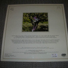 LP vinyyli Karunesh: Sounds of the heart - pikkukuva 2
