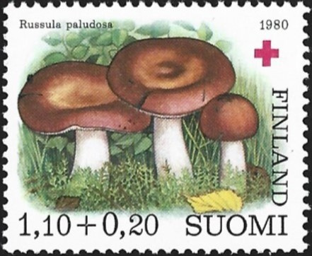 1980 Punainen Risti Isohapero 1,10 + 0,20 mk ** LaPe 865