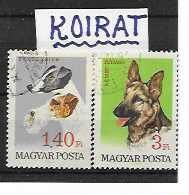 KOIRAT