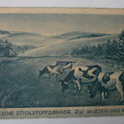 Lehmiä laitumella, mainospk, p. 1930 - pikkukuva 1