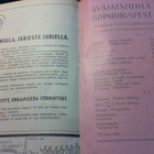 Jämeräpartaisten insinöörien tempausohjelma 1946 (Äpyn edelt - pikkukuva 4