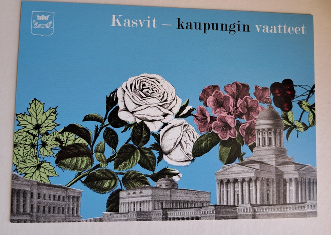 minimoi Kasvit-kaupungin vaatteet. uusi kortti