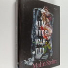 Malin Stehn : Kun vuosi vaihtuu - pikkukuva 1