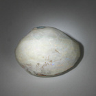 Opalisoitunut simpukankuori kokonainen 35.8 mm / 92.96 ct - pikkukuva 3