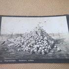 kaksi vintage taidekorttia -1900-luku alku - pikkukuva 4