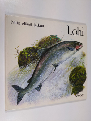 Pauline Baynes : Lohi