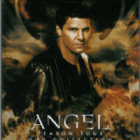 ANGEL SEASON 4 (26 666) -FI- DVD (6) 6 dvd=16h 30min - pikkukuva 1