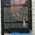 Holopainen, Anu: Pohjoistuulen jälkeläiset 3: Sinisilmä - pikkukuva 2